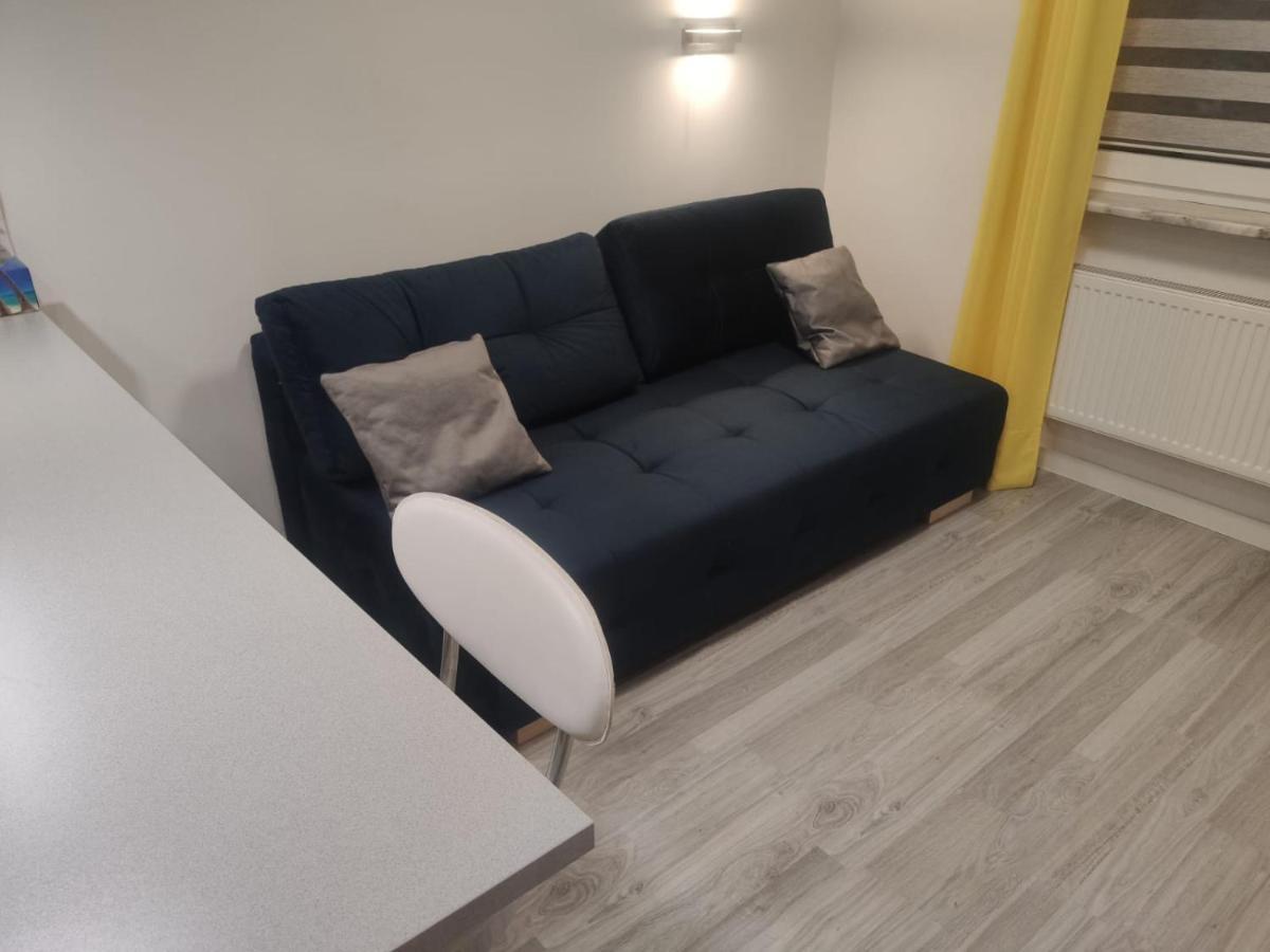 Comfortable Studio Only 20 Minutes From International Conference Center Katowice Best Place For Wuf2022 Eec Tnf Off Etc Siemianowice Śląskie Exterior foto